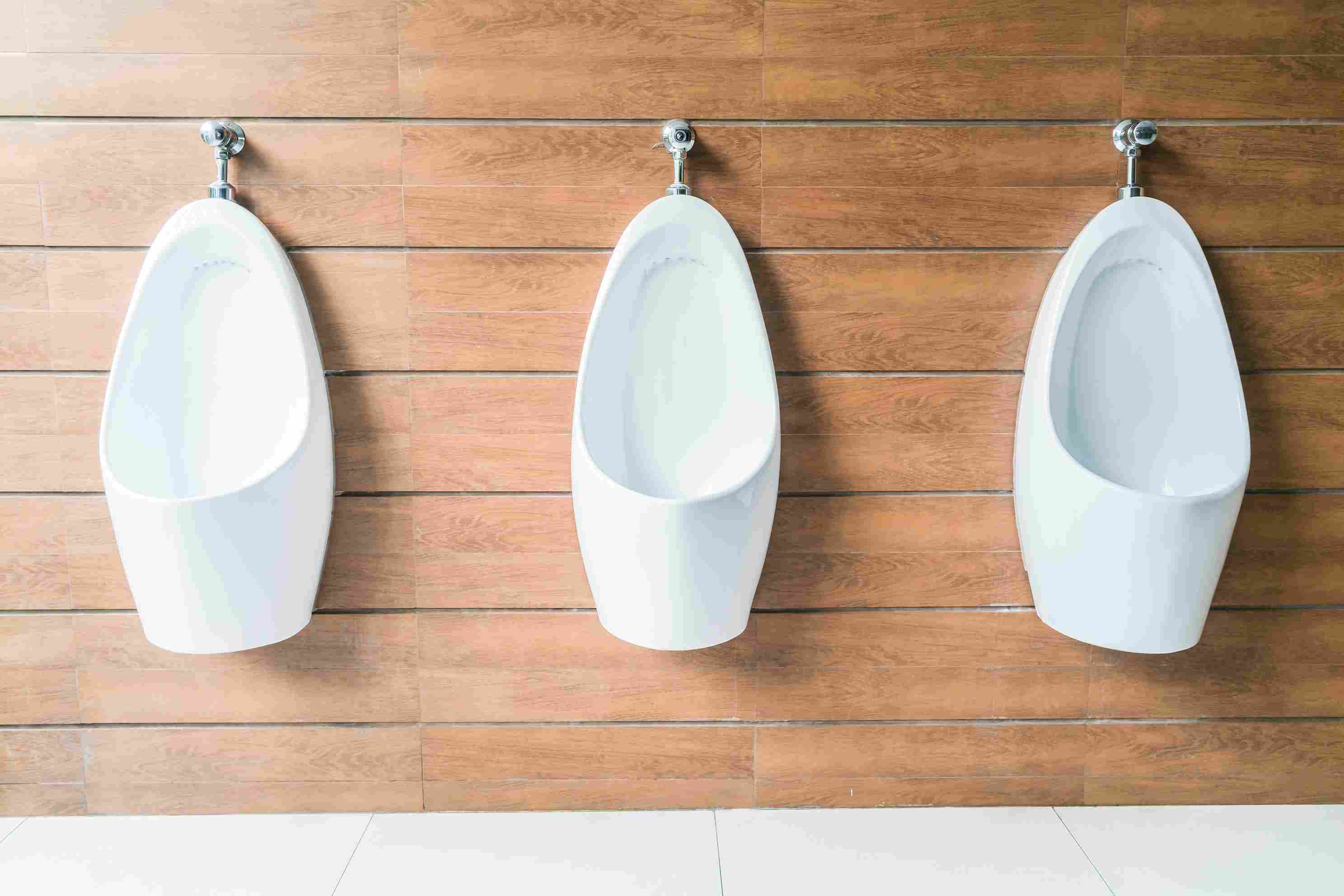 Western toilet installation (wall mounted)