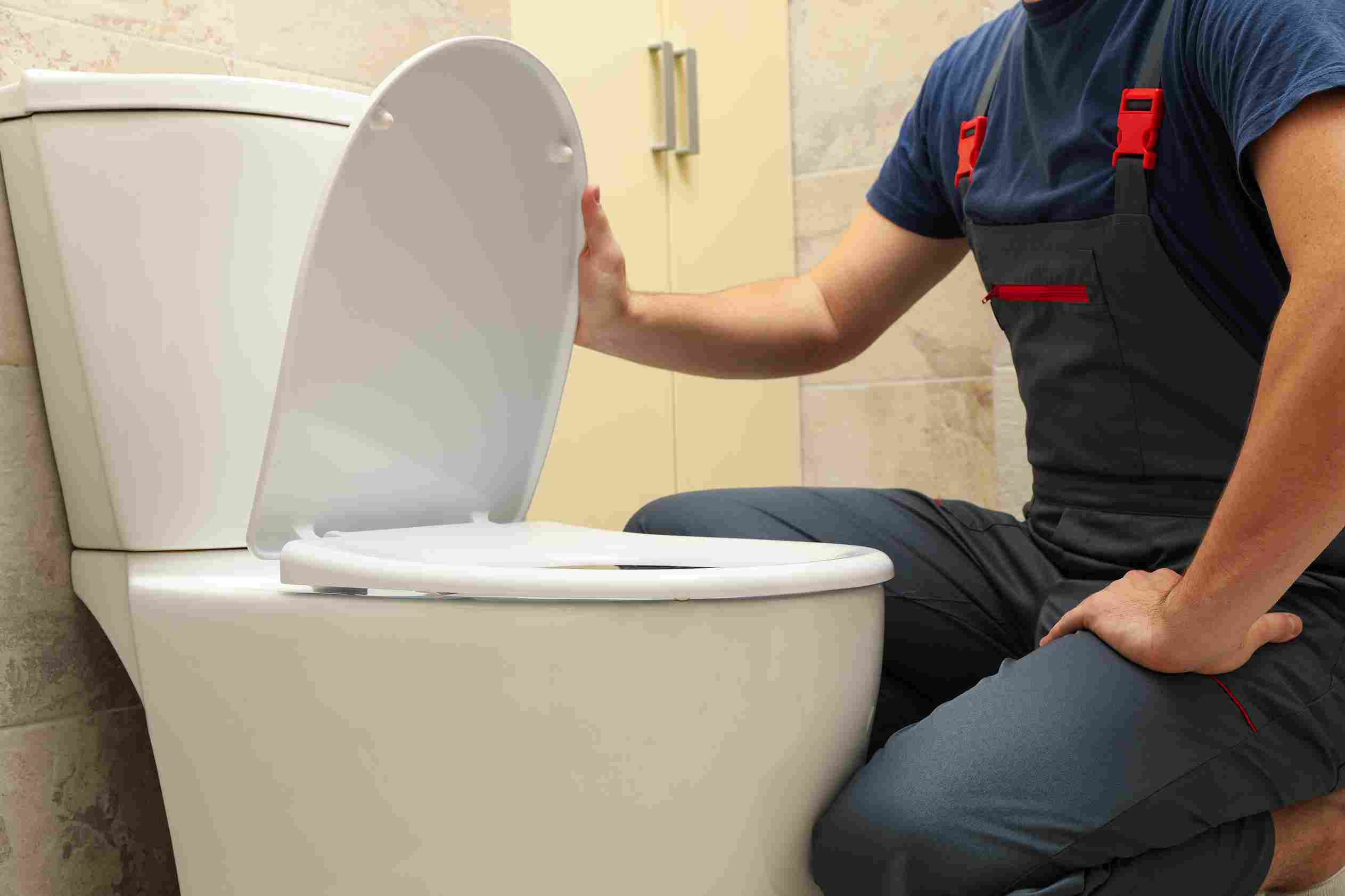 Replacement of Toilet seat cover