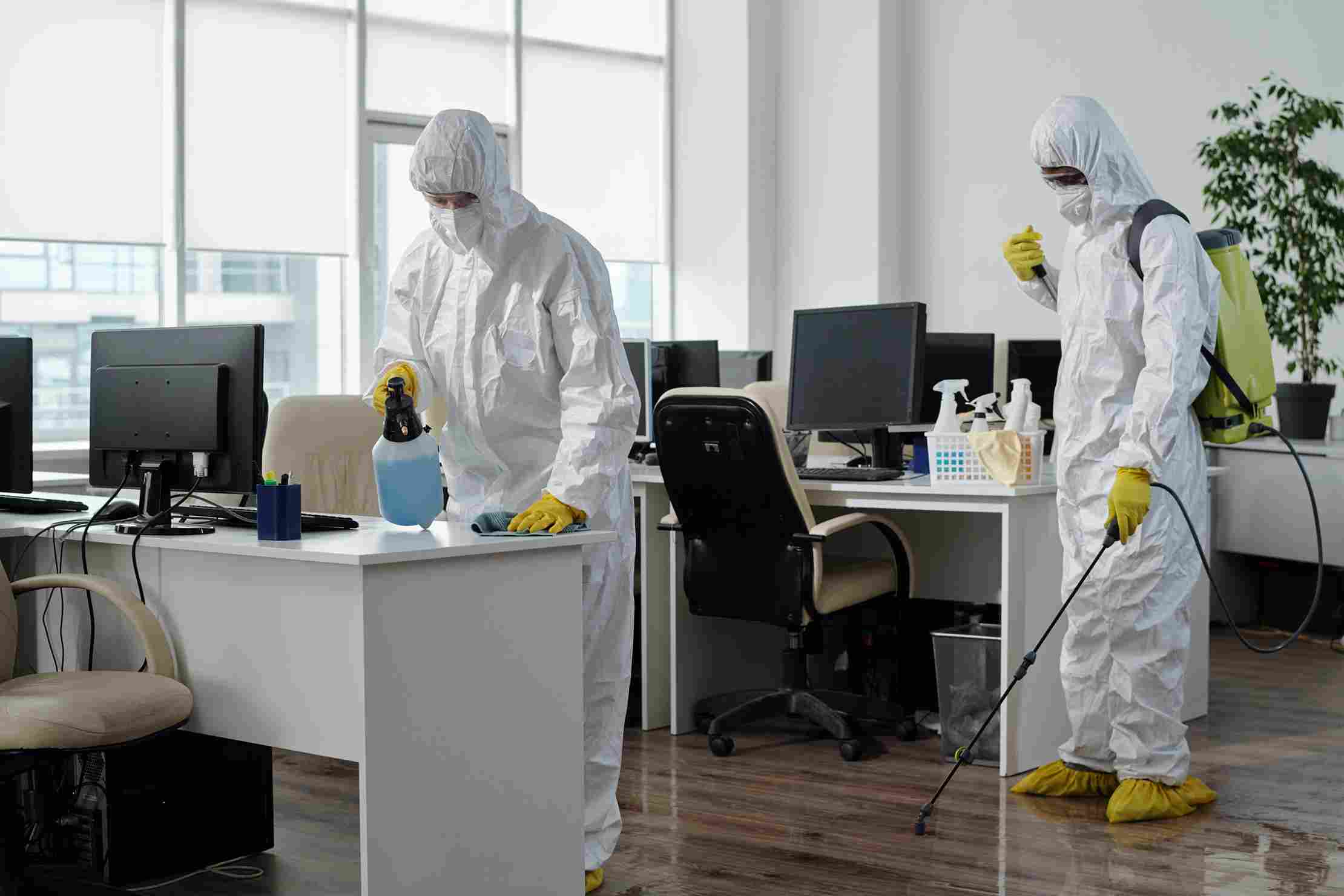 Offices Pest Control