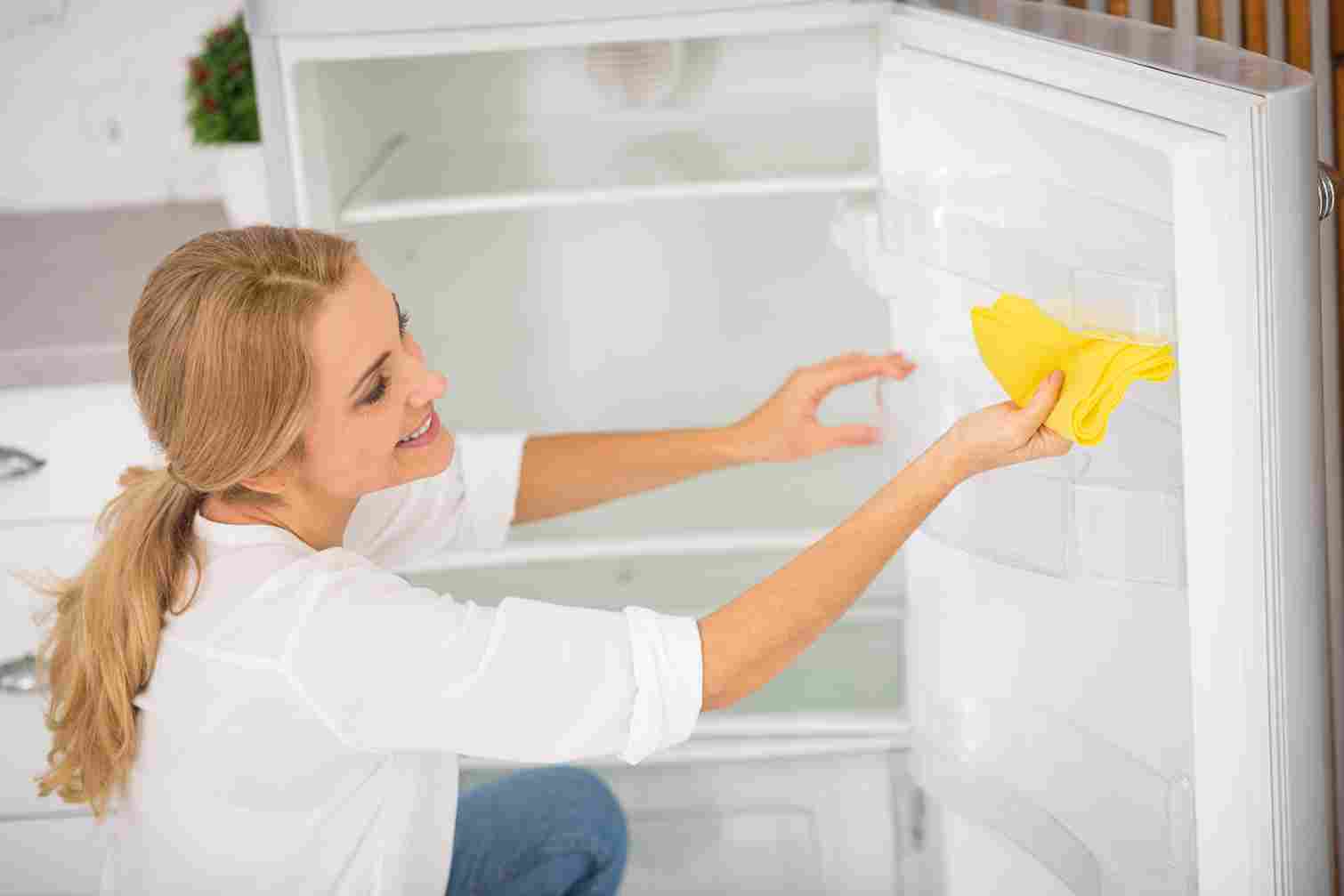Refrigerator Cleaning