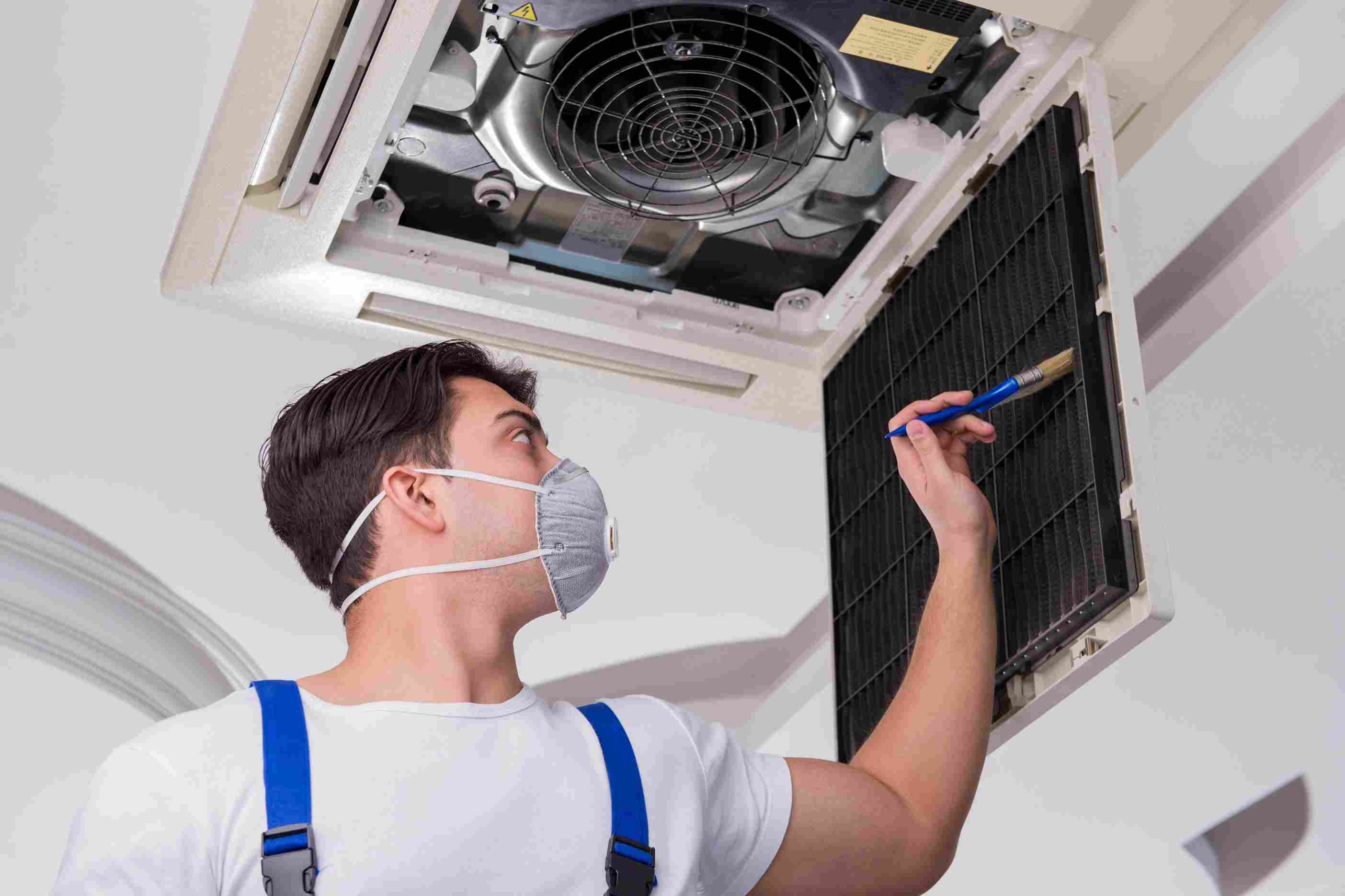 Ceiling fan cleaning