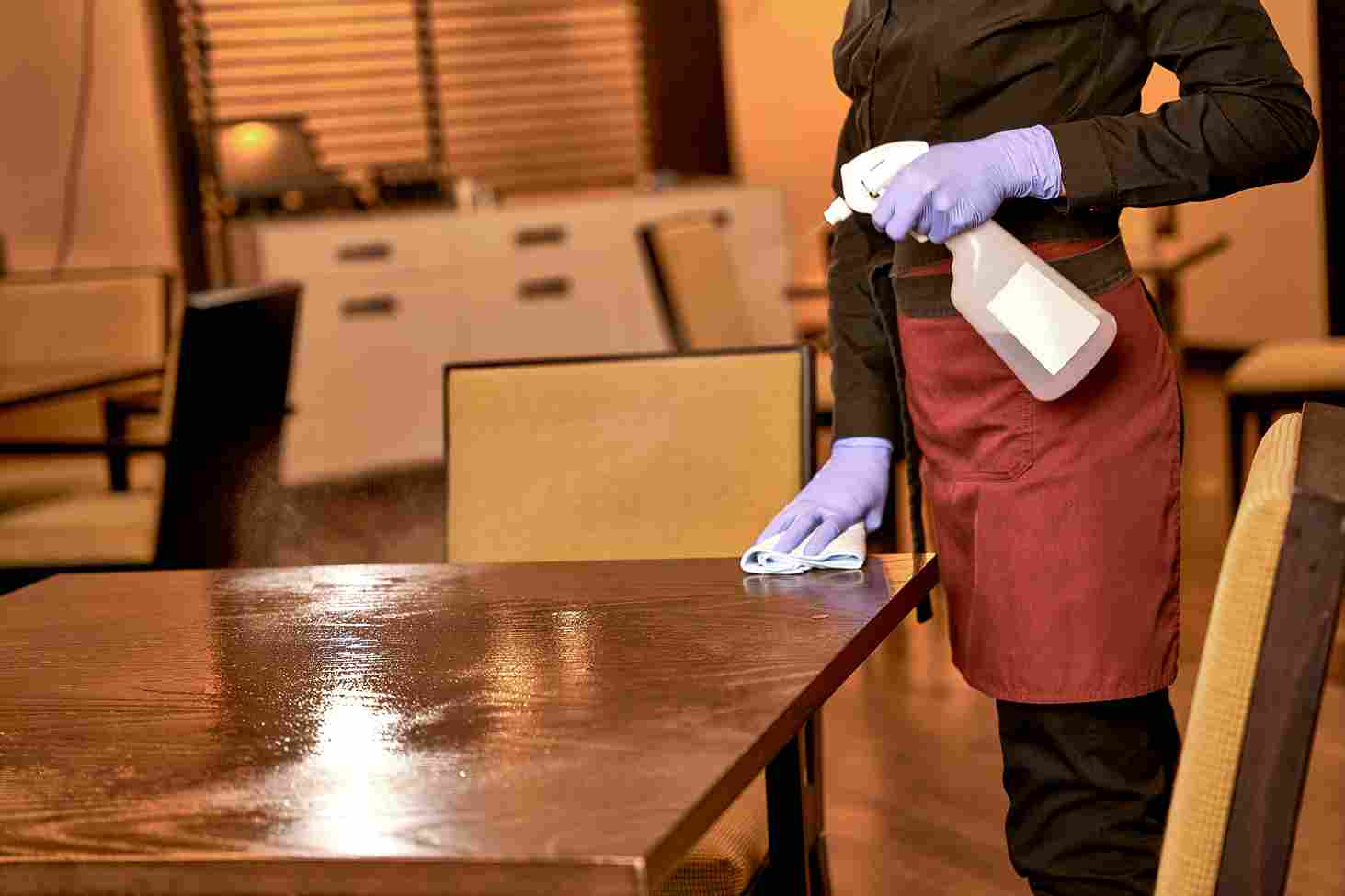 Dining Table & Chairs cleaning